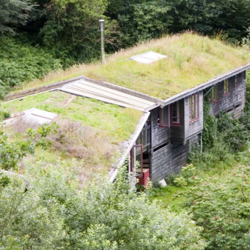 General Asphalte Green Roofs