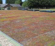 General Asphalte Green Roof