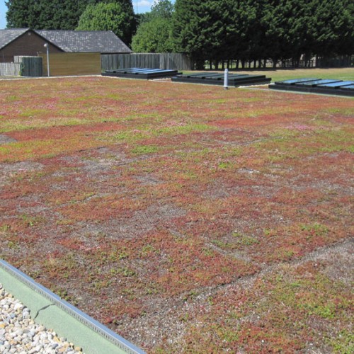 General Asphalte Green Roof