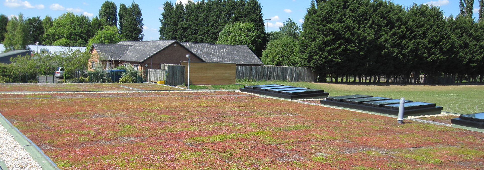 Green-Roof-Home-Page-Slider