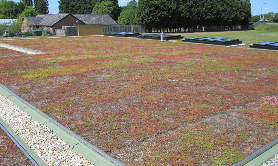 General Asphalte Green Roof