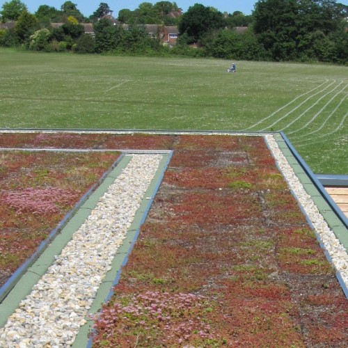 General Asphalte Green Roofs